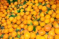 Oranges at a fruit stall at a Moroccan market Royalty Free Stock Photo