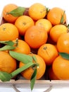 Oranges