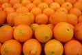 Oranges Royalty Free Stock Photo