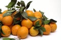 Oranges Royalty Free Stock Photo