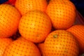 Oranges Royalty Free Stock Photo