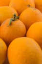 Oranges Royalty Free Stock Photo