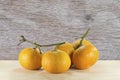 Oranges on the abstract wood texture