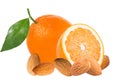 Oranges and almonds isolated on white background Royalty Free Stock Photo