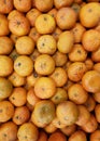 The oranges arranged in the super market. Royalty Free Stock Photo