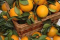 Oranges in the basket Royalty Free Stock Photo