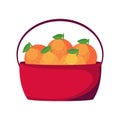 oranges basket design Royalty Free Stock Photo