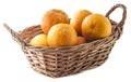 Oranges basket isolated Royalty Free Stock Photo