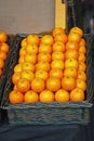 Oranges in Basket Royalty Free Stock Photo