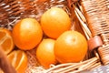 Oranges in the basket on the wimdow sill in summer