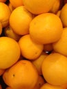 Oranges Royalty Free Stock Photo