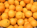 Oranges of biological cultivation oranges, fruit