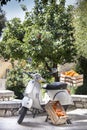 Oranges in the box. Ancient Italian motorcycle. Green orange trees in the background.