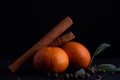 Oranges, cinnamon sticks, spices, herbs on the black background Royalty Free Stock Photo