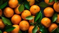 Oranges citrus food fresh sweet organic healthy leaves mandarin juicy fruits