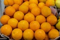Oranges Crate Royalty Free Stock Photo