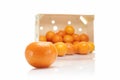 Oranges or clementines