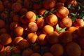 Oranges on the counter of the authentic Egyptian market. Fresh fruits in the street bazaar