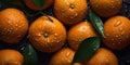 Oranges on a counter in the supermarket. Banner created with ai generative tools Royalty Free Stock Photo