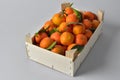 Oranges crate Royalty Free Stock Photo