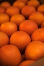 oranges in a crate front view close up Royalty Free Stock Photo