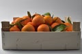 Oranges crate Royalty Free Stock Photo