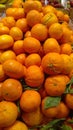 Oranges on display