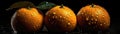 Oranges With Droplets On A Black Background. Generative AI Royalty Free Stock Photo