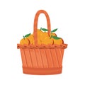 oranges fresh fruit in basket