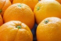 Oranges freshly picked off the three ready to be eaten on the kitchen table.