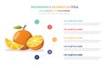 Oranges fruit infographic template with 5 colorfull bullet number description