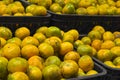 Oranges fruit inside plastic crate at supermarket