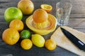 Oranges, grapefruit, limes, lemon, tangerines and juicer with orange half