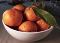 Oranges group freshly picked in a white ceramic bowl