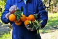 Oranges grown with their own hands