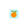 Orange icon. Fruit. Vector illustration. EPS 10. Royalty Free Stock Photo