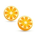 Oranges image. Citrus fruit. Vector icons isolated on white background Royalty Free Stock Photo