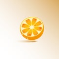 Oranges image. Citrus fruit. Vector icons isolated on white background Royalty Free Stock Photo