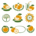 Oranges labels and elements set. Vector Royalty Free Stock Photo