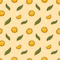 Oranges and leaves seamless pattern Gift Wrap background