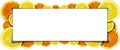 Oranges and Lemons Banner