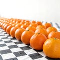 Oranges lined up on a checkered table Royalty Free Stock Photo