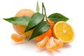 Oranges and mandarin with slices Royalty Free Stock Photo