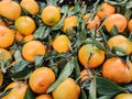 Oranges, mandarins background and texture Royalty Free Stock Photo