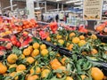 Oranges, mandarins background and texture Royalty Free Stock Photo