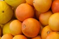 Oranges and melons Royalty Free Stock Photo