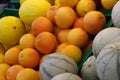 Oranges and melons Royalty Free Stock Photo