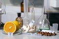 Oranges, mushrooms and nuts on a laboratory table with vitamin names. Essential vitamins. Food laboratory.