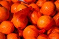 Oranges in a net bag Royalty Free Stock Photo