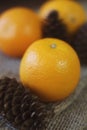 Oranges are bright orange color close-up on the right side of the frame on an old wooden background. Royalty Free Stock Photo